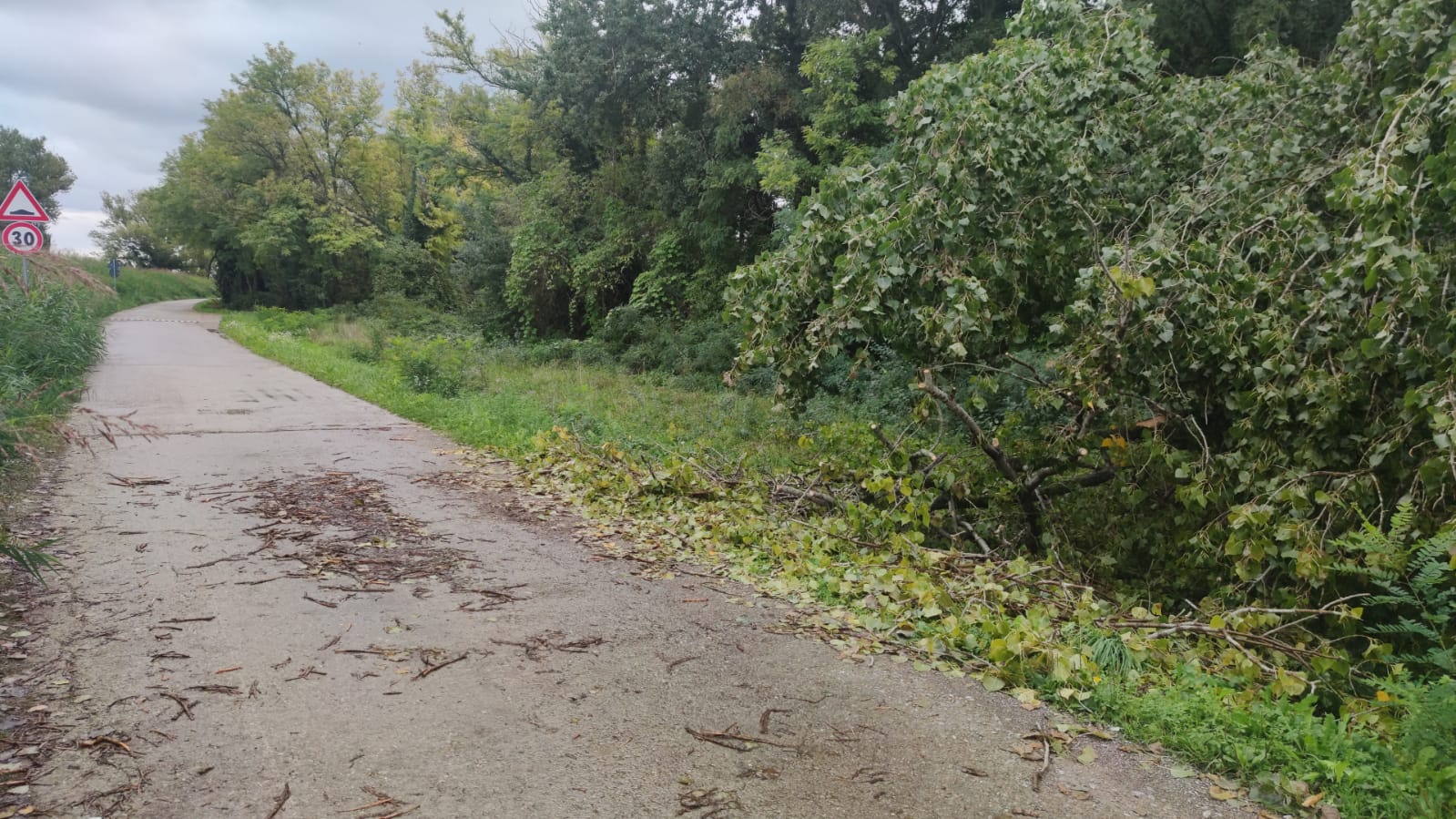 Allagati i sentieri dell'Isola della Cona, chiusa la strada alla Riserva